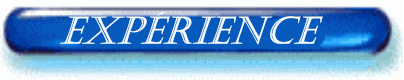 Exprience professionnelle